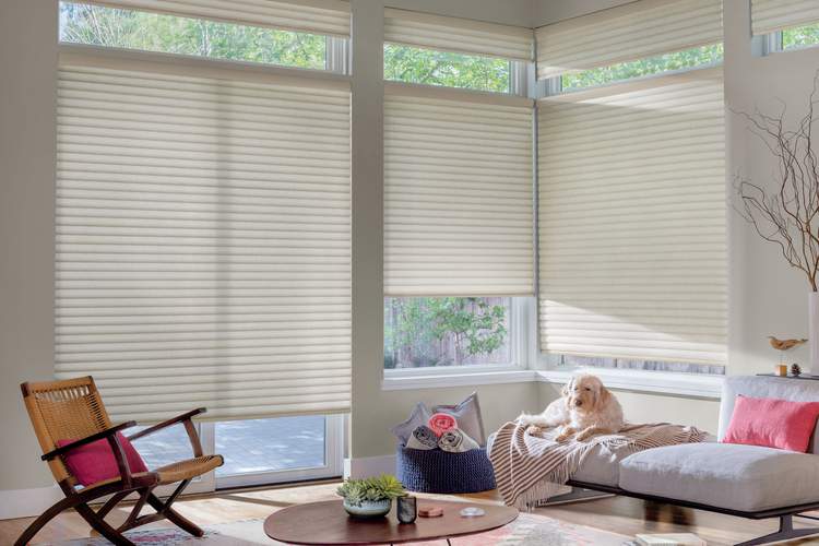 How to Buy the Best Blinds and Shutters for your Home