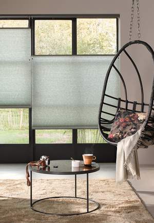 Duette® Blinds