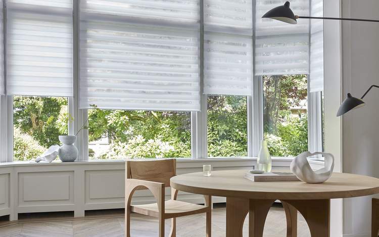 Duo roller blinds