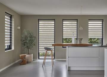 Duo roller blinds