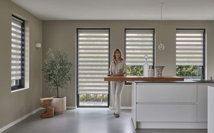 Duo roller blinds